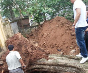 Bán cây sưa 26 tỷ ở Bắc Ninh: Mỗi người dân được chia từ 5 - 10 triệu đồng