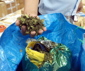 Nhận diện ma túy mới - Hệ lụy báo trước