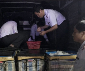 Ảnh minh họa