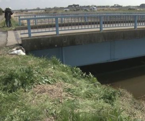 Bé gái người Việt phản kháng rất mạnh trước khi bị giết, có dấu hiệu bị ghì chặt cổ tay
