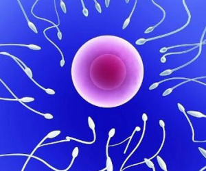 Bí kíp giúp quý ông tăng số lượng tinh binh