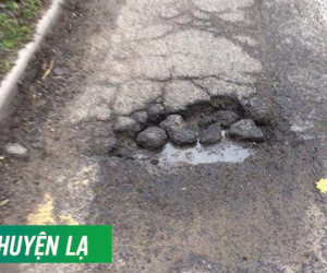 Cận cảnh ổ gà đắt đỏ nhất thế giới, có giá lên đến 280 triệu đồng