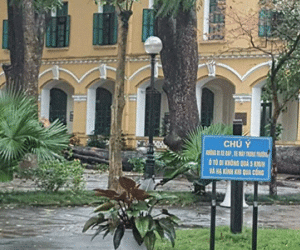 Hà Nội: Cây đổ sau mưa dông, nữ sinh trường Chu Văn An gãy cả tay chân