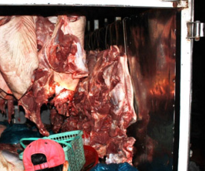Bắt giữ xe tải chở 600 kg thịt heo không qua kiểm dịch