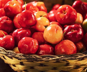 Vì sao phụ nữ Nhật và phương Tây thích ăn sơ ri Việt Nam?
