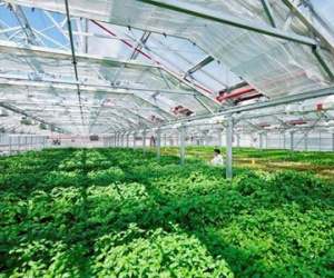 Sẽ hướng dẫn giải ngân gói 100.000 tỷ trong tháng này