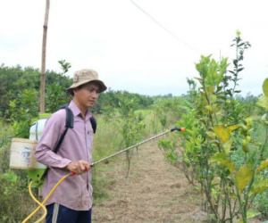 Hàng loạt cán bộ nghỉ việc làm công nhân, bảo vệ