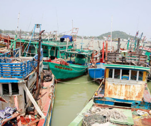 Nhảy xuống biển vì bị lừa đánh cá tại Thái Lan