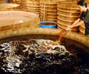 Báo cáo xử lý lãnh đạo Vinastas vụ "nước mắm Asen" trước 20/4