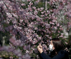 Hàng triệu người Nhật phụ thuộc vào khẩu trang vì vấn đề tâm lý