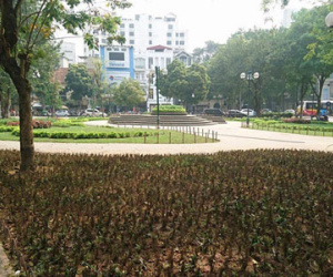 Vụ cắm chông tre ở vườn hoa: Nhổ bỏ ngay