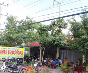 Ảnh bìa bài viết 445030