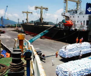 Thanh tra việc cảng Quy Nhơn bán hết vốn nhà nước
