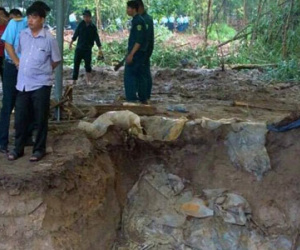 Phát hiện hố chôn tập thể liệt sĩ tại sân bay Biên Hòa