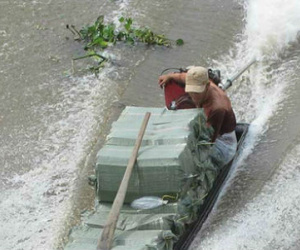 Vì tiền, nài thuốc bán mạng đưa hàng lậu về TP HCM