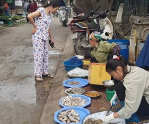 Chiến dịch giành lại vỉa hè tại Hà Nội: Chợ tạm chạy vào ngõ