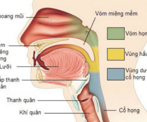 Dấu hiệu phát hiện sớm ung thư vòm họng
