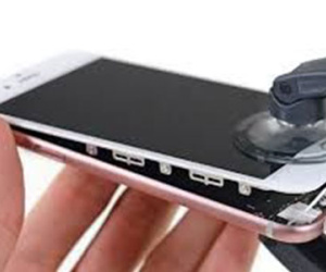 iPhone nào được Apple bảo hành tại Việt Nam