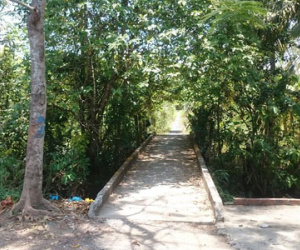 Bị công an điều tra, cán bộ ra nghĩa trang thề độc