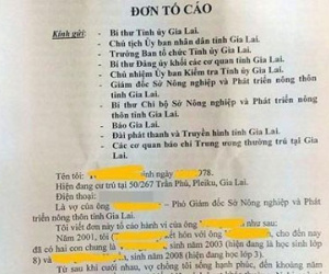 Phó giám đốc sở cho rằng vợ dựng chuyện ngoại tình bôi xấu chồng