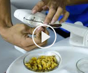 Video: Robot đút cho người già ăn của nhóm sinh viên TP HCM