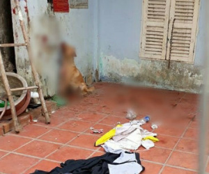 Giận hờn, nam thanh niên ở Sài Gòn tra tấn dã man chú chó của bạn để trả thù
