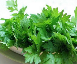 Tác dụng phụ đáng sợ của rau ngải cứu rất nhiều người chưa biết