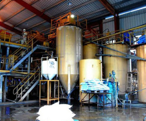 Xin thôi chức chủ tịch, đi đòi nợ đại gia vàng Bồng Miêu