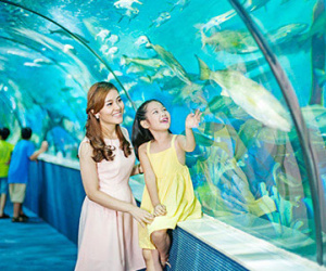 Gợi ý điểm đi chơi thú vị bố mẹ nên đưa con tới dịp nghỉ lễ này