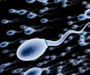 Nghiên cứu dùng tinh trùng chữa ung thư: Hãy xem cách tinh trùng mang thuốc diệt khối u!