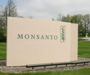 Việt Nam hoan nghênh phán quyết Monsanto huỷ hoại môi trường