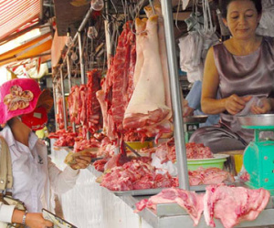 Giá rớt còn 20.000 đồng một kg, nông dân vừa bán heo vừa khóc