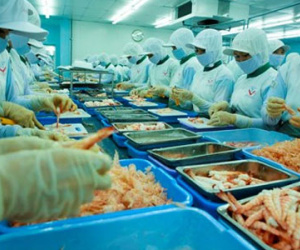 Có thể tăng tuổi nghỉ hưu từ năm 2021