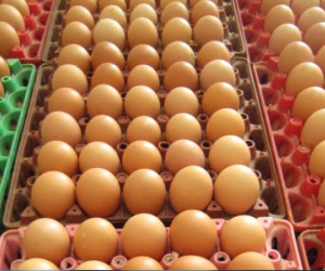Nắng nóng, giá trứng tăng liên tục