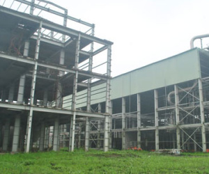 Phá sản lộ trình xăng sinh học
