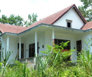 Cỏ dại phủ kín hàng loạt biệt thự bỏ hoang ở Kon Tum