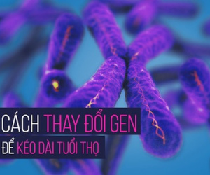 7 bí mật giúp con người nâng cao chất lượng sống và kéo dài tuổi thọ bạn nên tham khảo