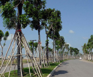 Đất phía Tây Sài Gòn tăng giá gấp đôi