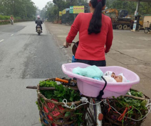 Xúc động hình ảnh mẹ bán rau, bỏ con trong thau đạp xe đi muôn nơi…