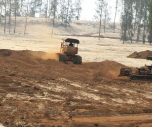 Thủ tướng chỉ đạo làm rõ vụ phá rừng phòng hộ tại Phú Yên