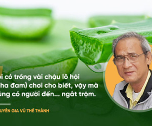 Bài thuốc nổi tiếng thế giới "chữa nhiều bệnh ung thư": Chuyên gia Việt Nam nói gì?