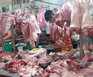 Heo hơi giảm nửa giá, thịt mới giảm 3.000 đồng