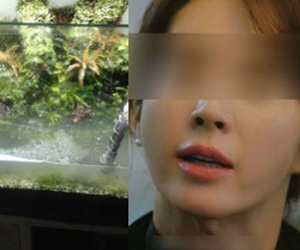 Giận chồng vô tâm, vợ "truy sát" bể cá yêu quý của chồng bằng bột giặt và nước tẩy bồn cầu