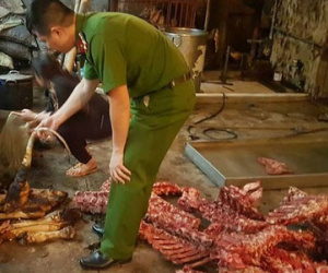 Hà Nội: Buộc tiêu hủy hơn 2.000 kg thực phẩm “bẩn”