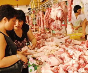 Mượn kho cấp đông thịt "giải cứu" chăn nuôi heo