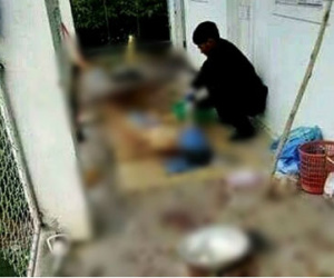 Án mạng tại phòng trọ ở Nghệ An: 1 người tử vong tại chỗ, 1 nạn nhân nguy kịch