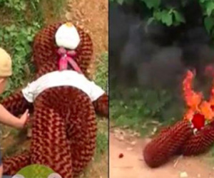 Nam thanh niên đốt hoa, gấu bông vì tỏ tình bị từ chối "phũ"