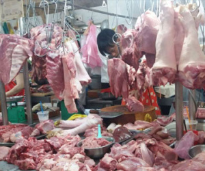 Thị trường thịt 18 tỷ USD, sao để nông dân nuôi heo kêu cứu?