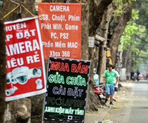 Treo biển quảng cáo trên cây: Phạt 10 triệu đồng