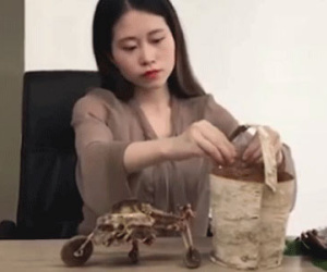 "Thánh ăn công sở" lại gây choáng khi nướng gà bằng chậu hoa, lấy xương gà làm xe đồ chơi